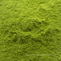 2018 Organic Certified Matcha Green Tea Powder Japan Matcha Tea
